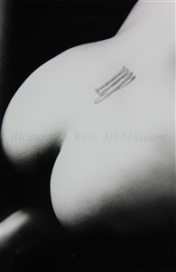 Image description is not available for 2013.048